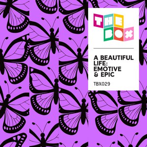 玩男中初学生J8
